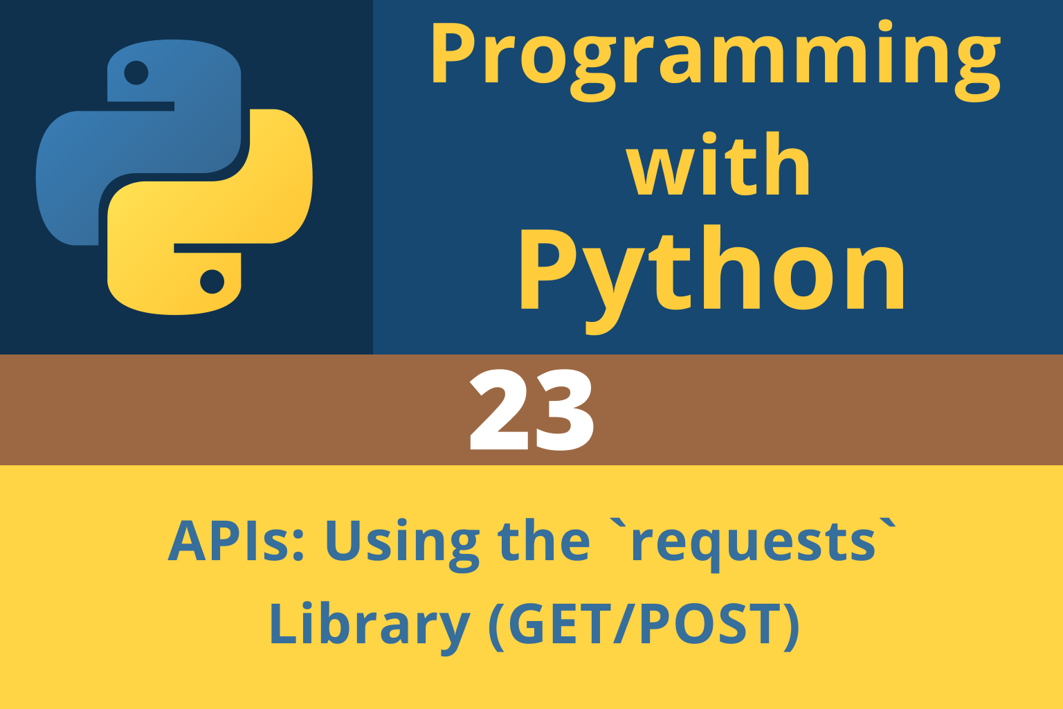 Programming with Python | Chapter 23: Working with APIs and the requests Library